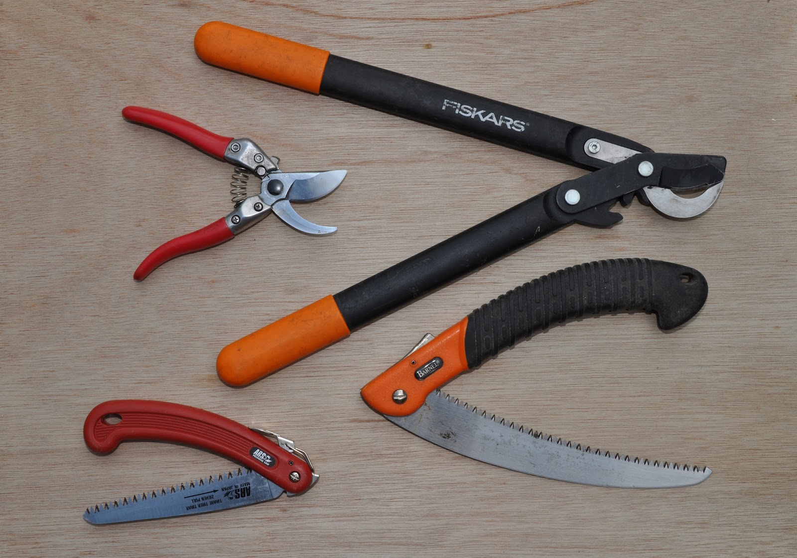 Pruning Saws vs. Shears - How To Know When To Use Each